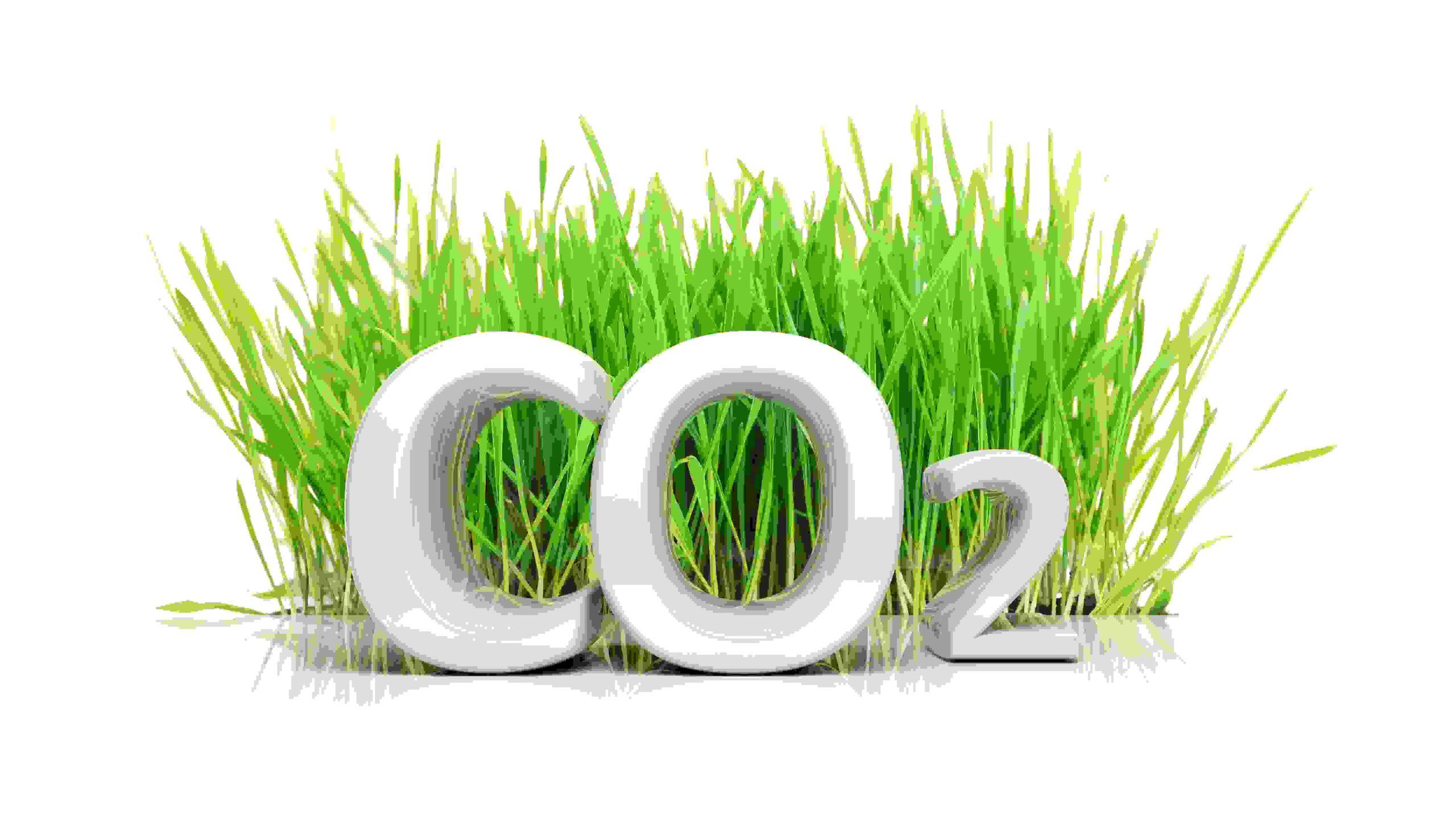 Co2 Carbone Noriap