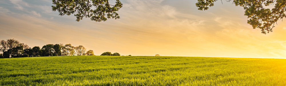Les 6 étapes clés pour raisonner la fertilisation