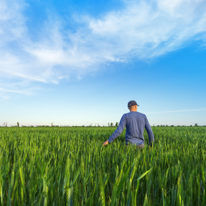 Les 6 étapes clés pour raisonner la fertilisation