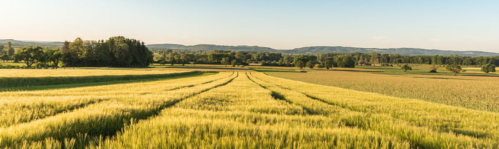 Les 6 étapes clés pour raisonner la fertilisation