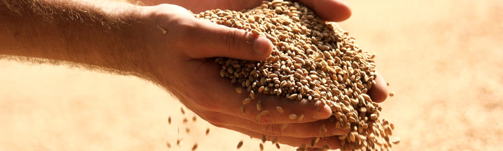 noriap-blog-réduction-ift