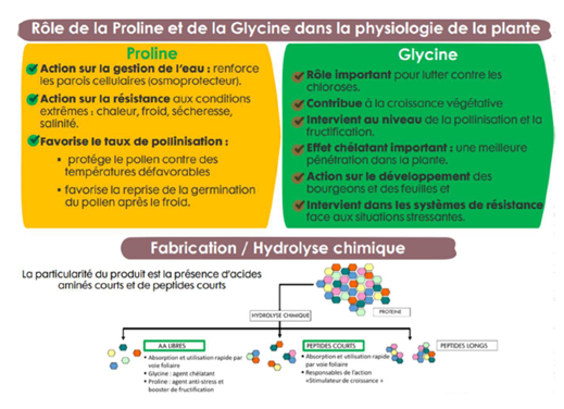 visuel biostimulants 2
