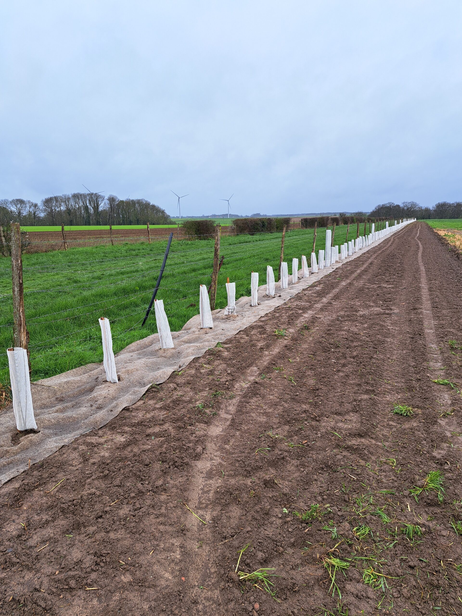 quatre linéaires stratégiques