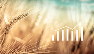 Lisser ses revenus agricoles avec Protelis