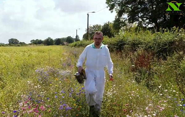 Apiculture – L&rsquo;abeille, auxiliaire utile