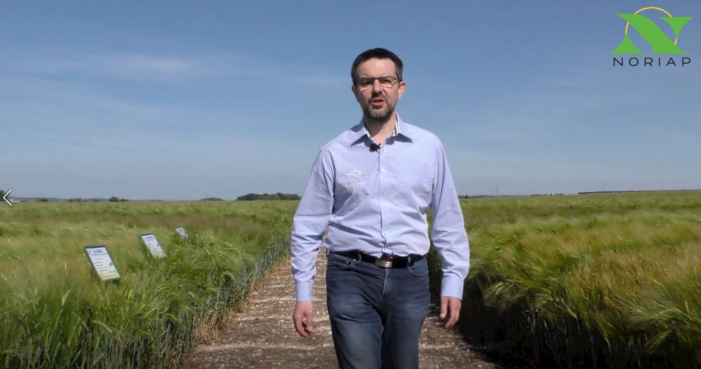 LES MINUTES AGRO – Les variétés escourgeon