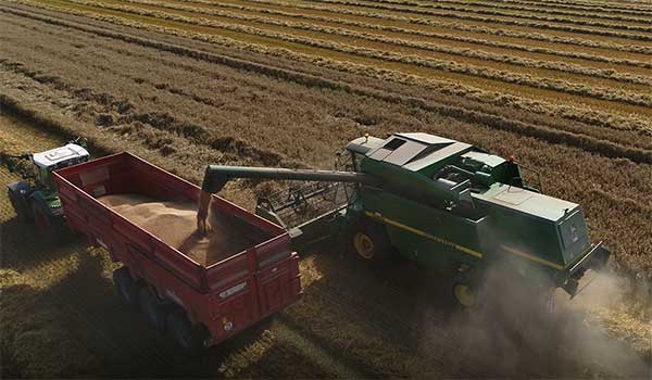 De la graine à la moisson : un savoir-faire d’exception chez Noriap