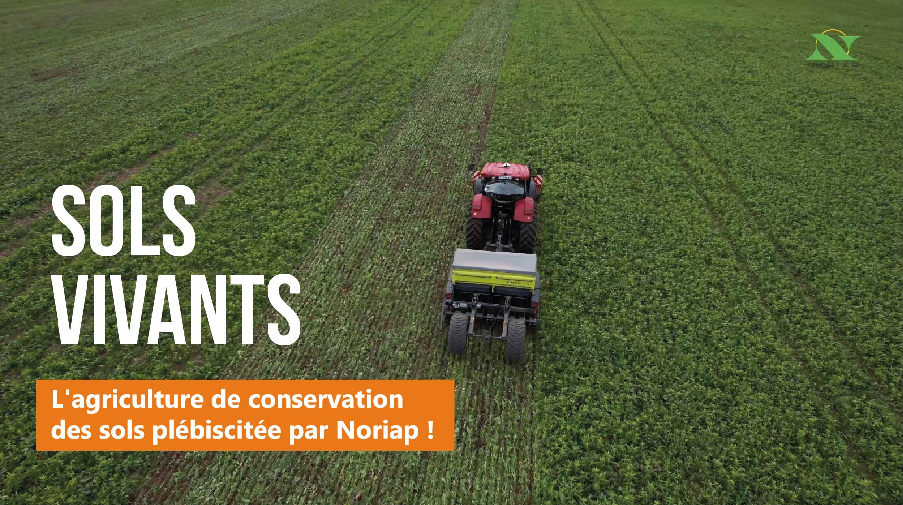 L&rsquo;agriculture de conservation des sols plébiscitée par Noriap