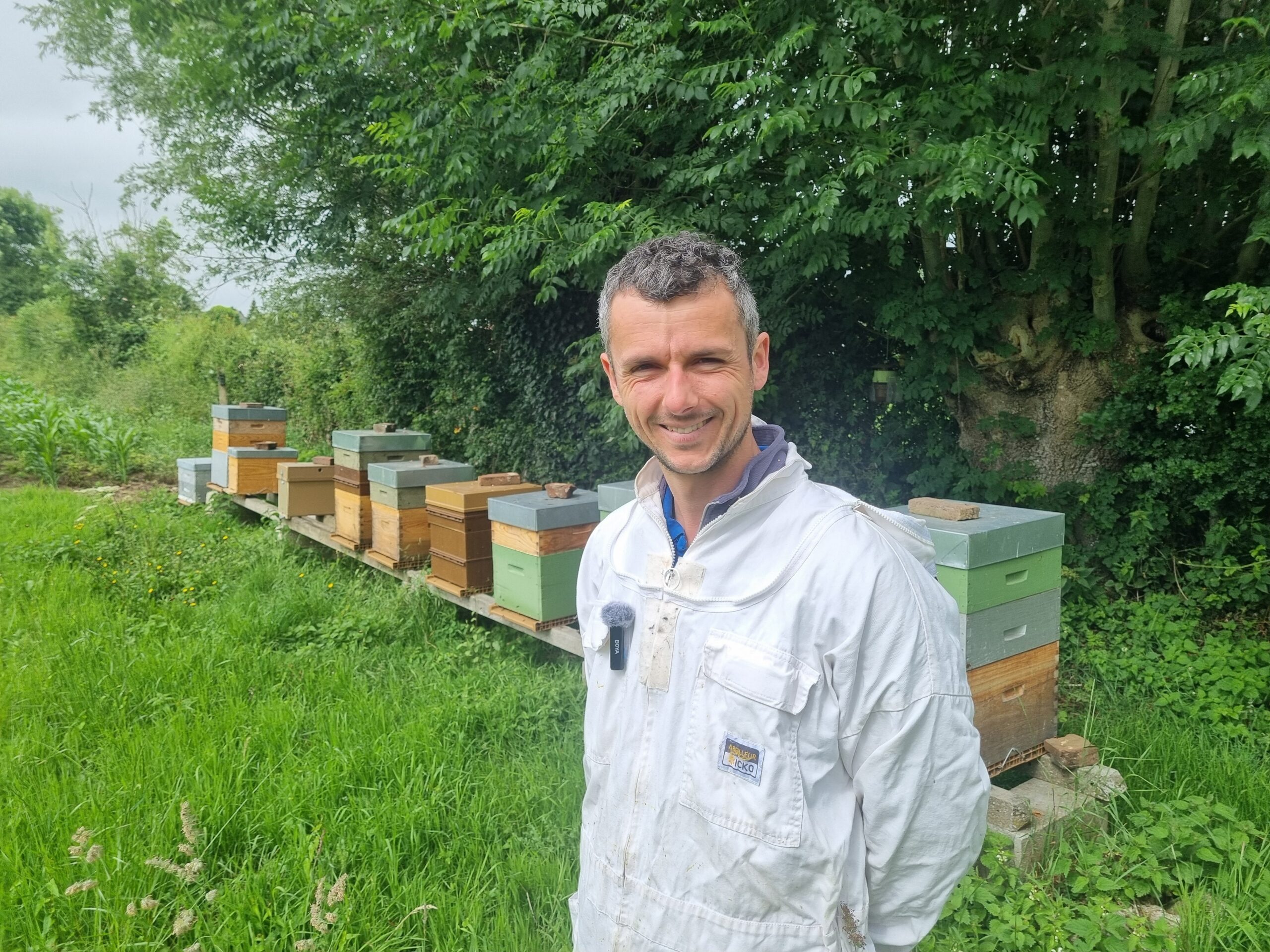 Antoine Beauval : futur installé entre cultures, élevage et abeilles