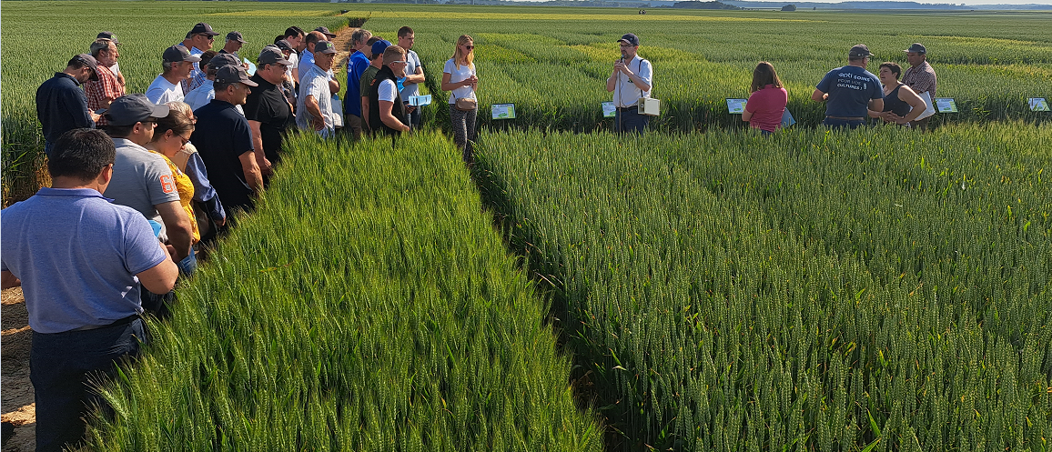 Rendez-vous le 18 juin à la Journée Opti à Croixrault