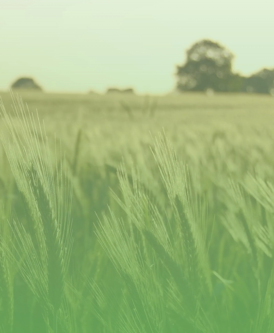 La diversité des métiers du groupe Noriap