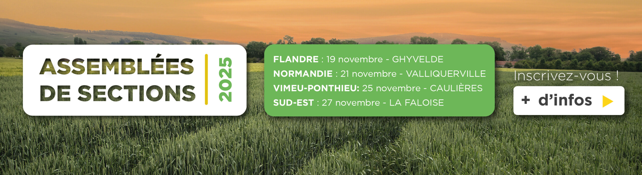 Assemblées de section