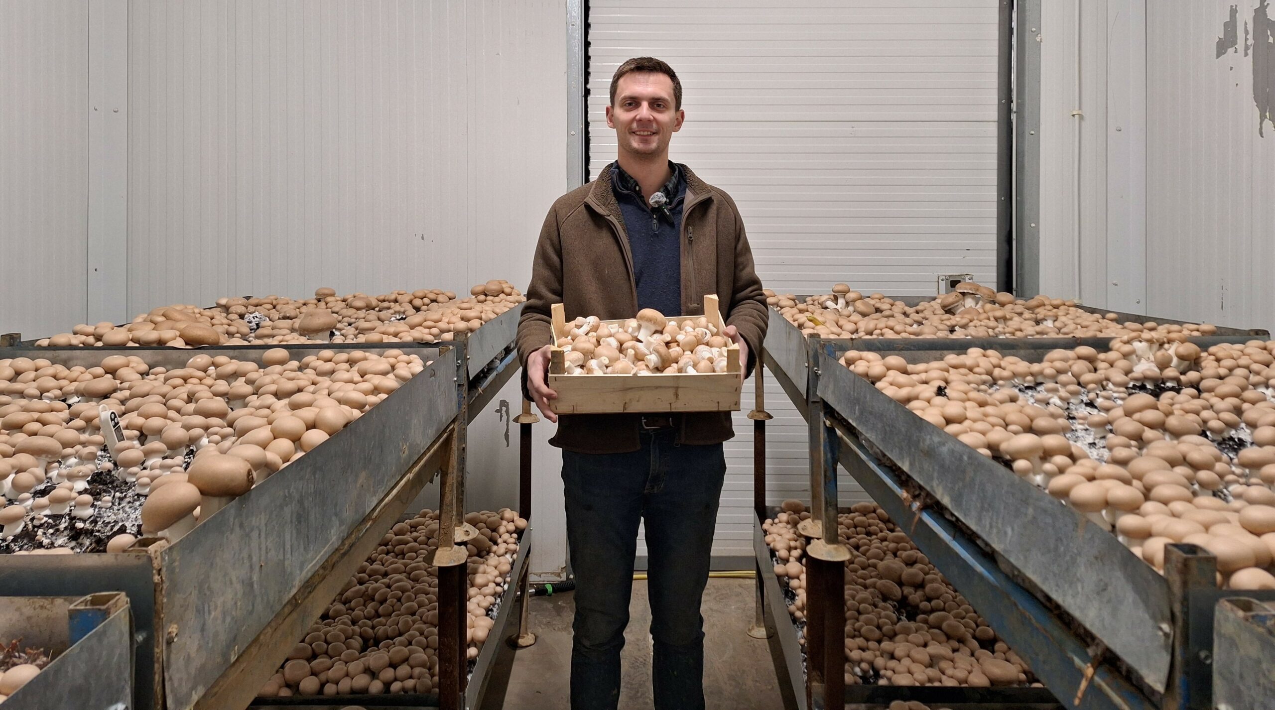 Le champignon, une voie pour se diversifier