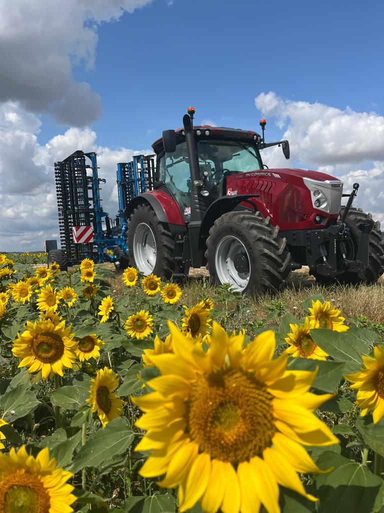 McCormick dans tournesols