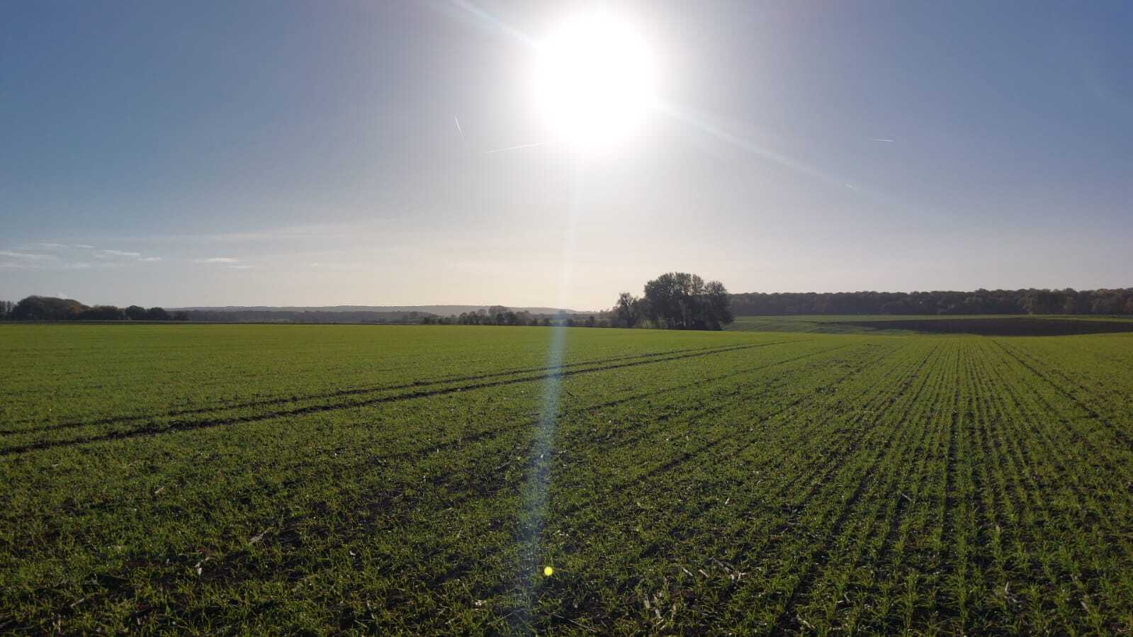 Les reliquats azotés : apporter la bonne dose au bon endroit